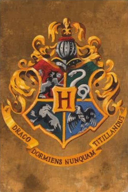 Hangi Harrypotter Karakterisin