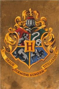 Hangi Harrypotter Karakterisin