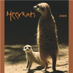 Meerkat Gifts