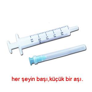 Domuz Gribi