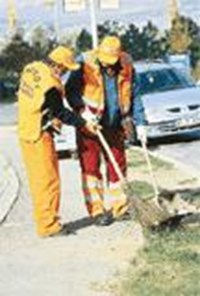 Gelecekteki Meslein Ne??