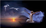 Buonanotte&Dintorni