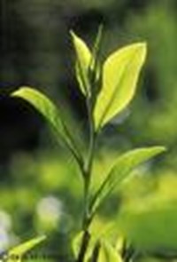 Kỹ Năng Máy Tính Của Bạn Đến Đâu?