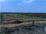 Tümen Tarım