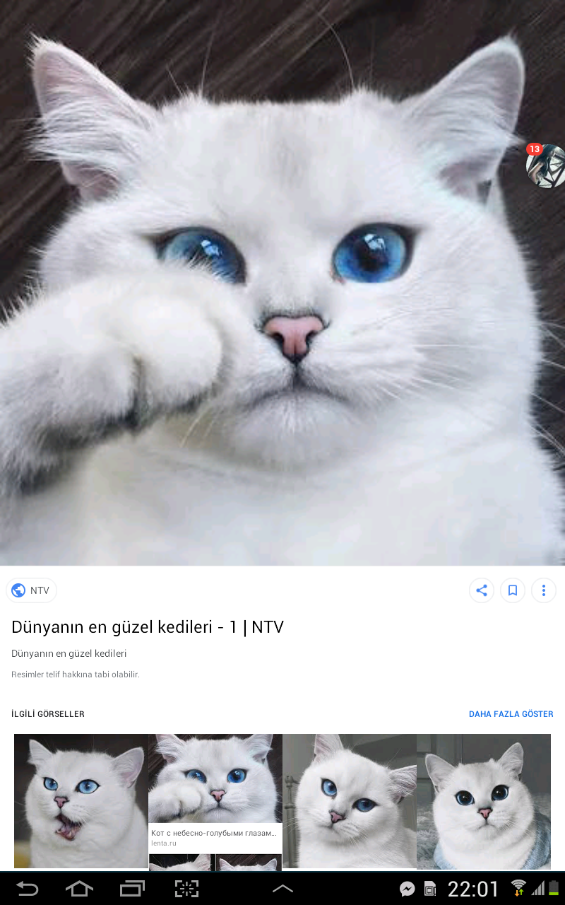 Sevgi Testi