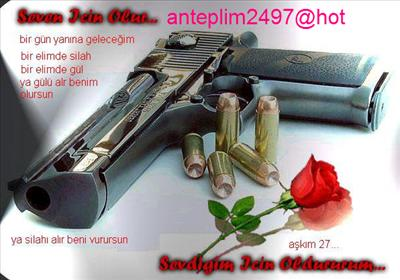 Anteplim2497