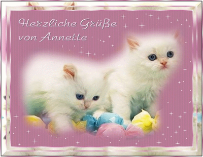 CUTE CATS