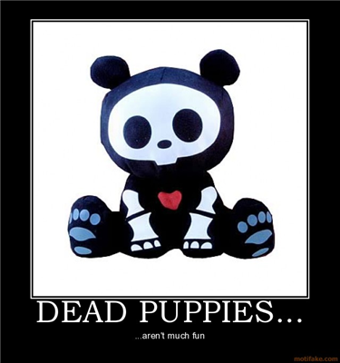 dead puppy