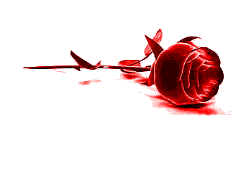 ورد