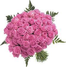 mille rosse per te