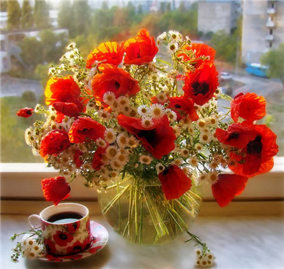 buona giornata