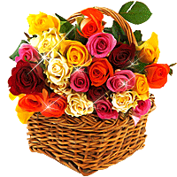 rosse