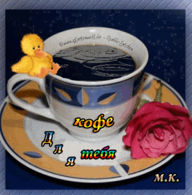 buona giornata