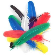 Feathers!