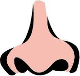 A Nose!