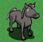 Farmville Gifts