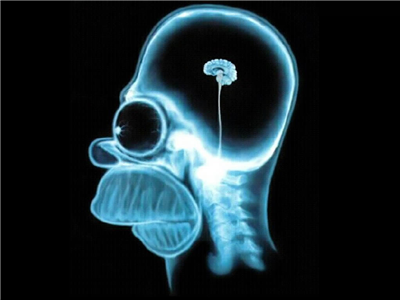 t'es pas intelligent du tout 