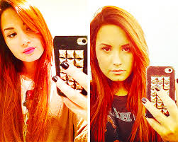 Ne Kadar Demi Lovato'sun