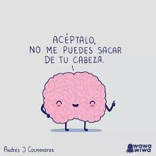 El Test De Inteligencia