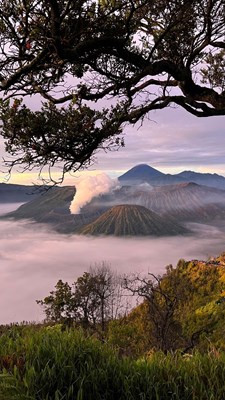 Kuis tentang Vira
