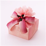 Exchange Gift