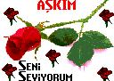 Sevgiline Hediye Gönder