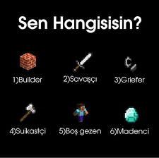 Sen Hangisisin ? 