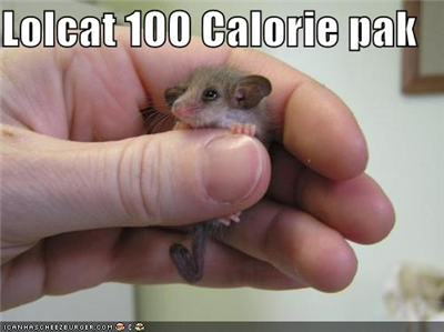 100 kalorie pack