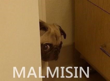 Ne Kadar Malsın