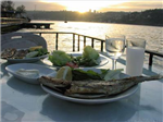 Rakı