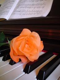 una rosa per te che sei la dolce sinfonia della mia anima..