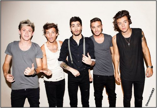 Est Tu Une Vrai Directioner ?