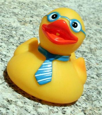 Geeky Duck