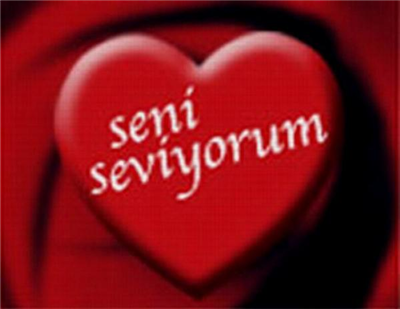 senı sevıyorum 