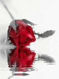 gül