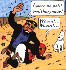 une gifle 