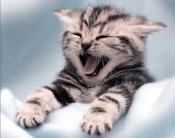 Good morning!