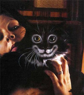 Woah! Watch out for that cat!  >.>