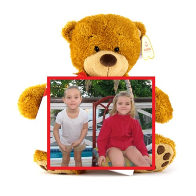 Teddy
