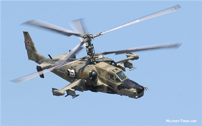 hind