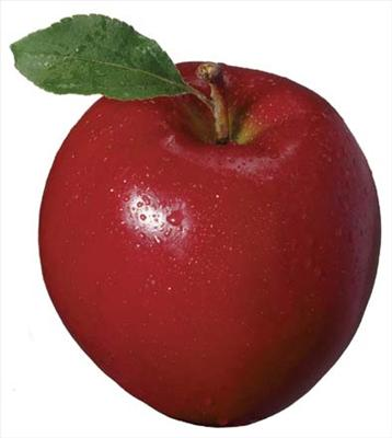 Meyveye Göre Kişik Testi