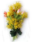 Regala Una Mimosa / Send A Mimosa