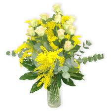 mimosa