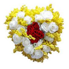 Heart's mimosa