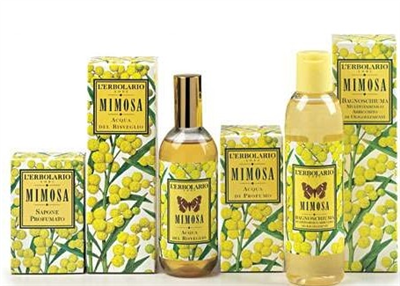 beauty mimosa