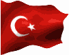 Operikizi Türk Bayrağı