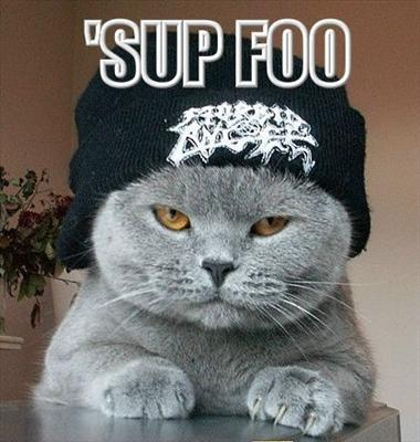 Est Tu Tchill Ou Pas