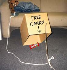 Trap Teddy Bear