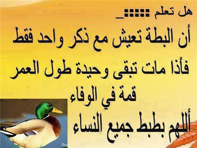 test2