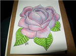 Lavender Rose